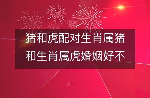 在2020年鼠年生肖猪和生肖虎结婚好不好?婚姻相配吗?