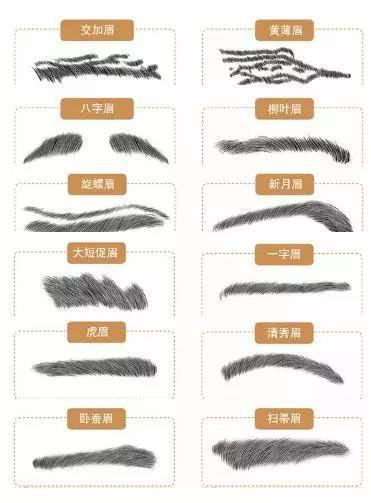 男人的眉型图解大全