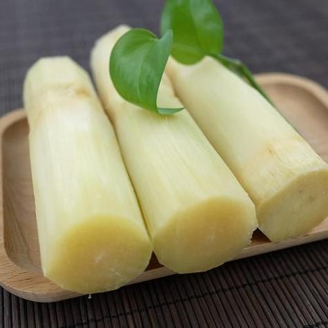 周公解梦梦见甘蔗坏了的含义