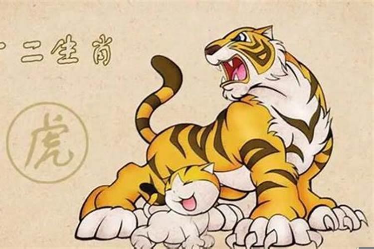 本命年属虎的大忌
