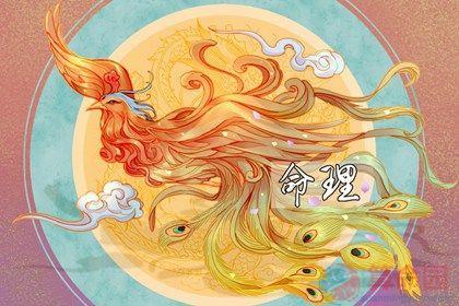 属虎午时诞生男孩命途
