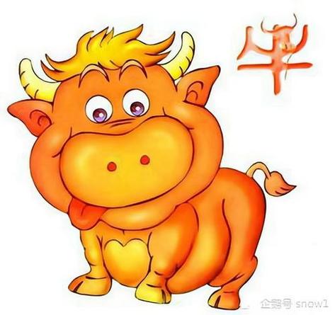 十二生肖运势:本周属牛运势
