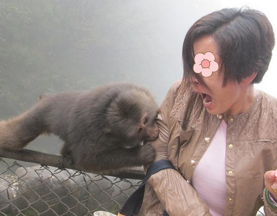 梦见猴子咬腿不放