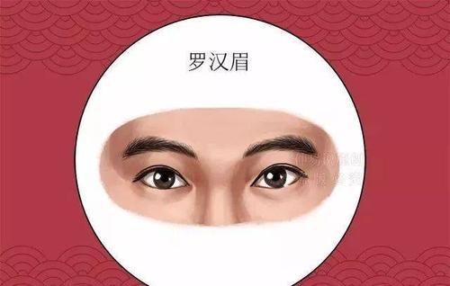 罗汉眉是将军眉吗