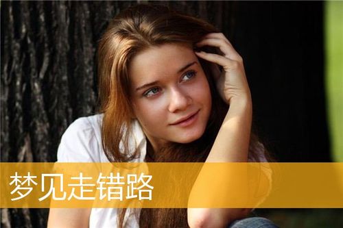 女人梦到走错路预示什么