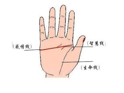 断掌的手相怎么看?这样的手相好不好?