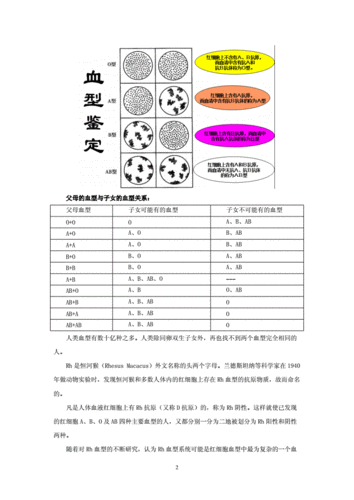 简述血型鉴定的方法
