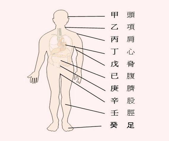 身体差久病缠身八字的特征