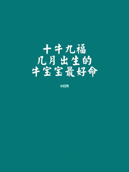五月出生的牛宝宝好不好