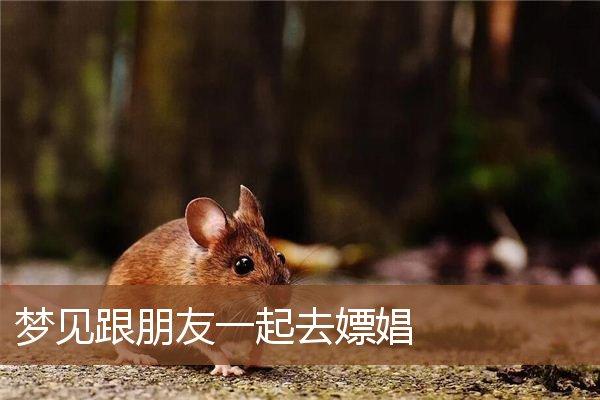 梦见去嫖是什么意思