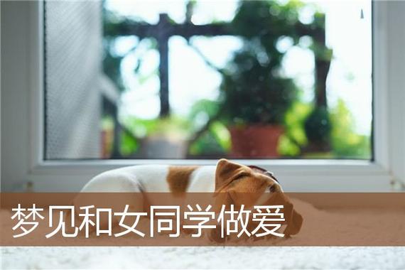 梦见和同学恋爱