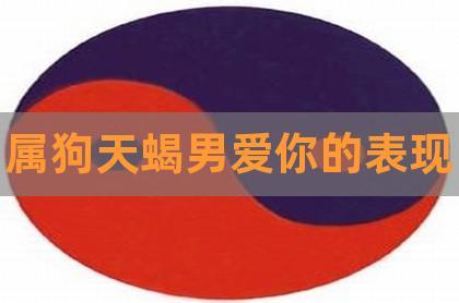 属狗男人疼爱你的表现