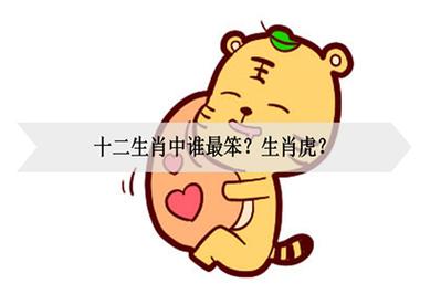 十二生肖中,谁爱碎碎念