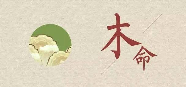 简要分析木命人