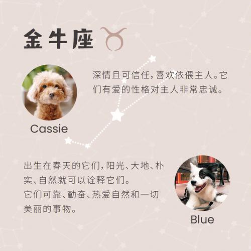 哪个星座易患办公室风流症