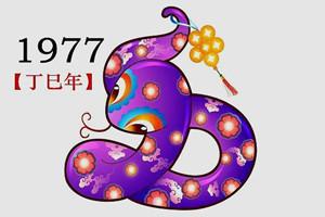 1977年属什么属相