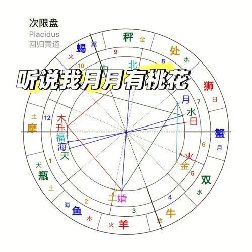 星盘怎么推运看桃花情况