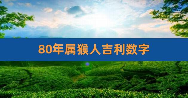 1980猴的大运之年在何时