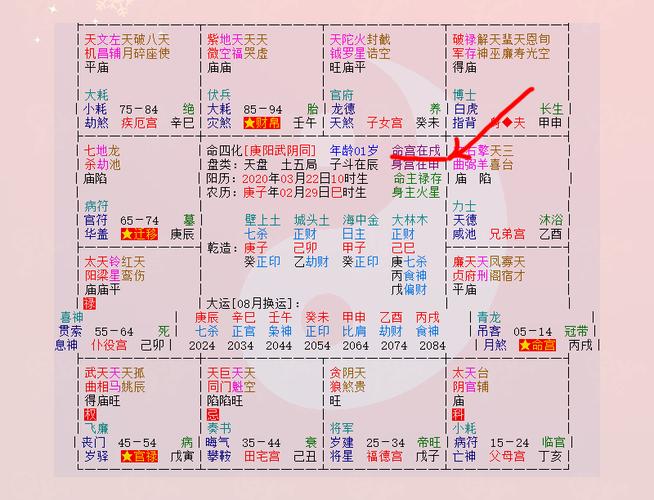 紫微星座命宫详解