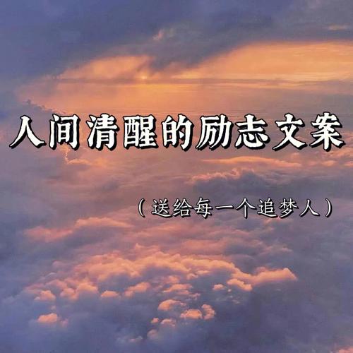 每一位迷茫的血型君