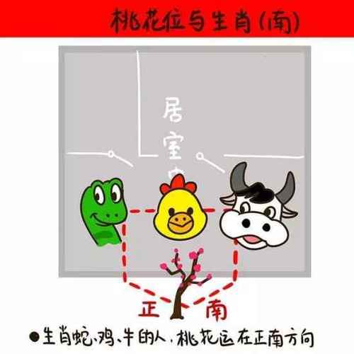 十二生肖如何斩断烂桃花