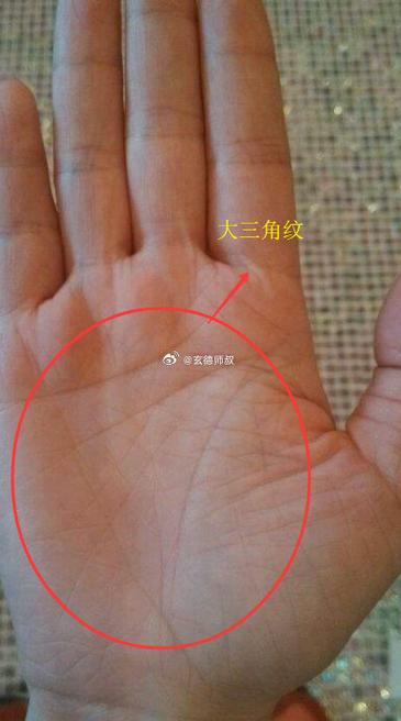 手相三角纹大富大贵