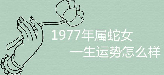 属蛇的2017年运势详解