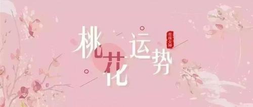 桃花运强势来袭
