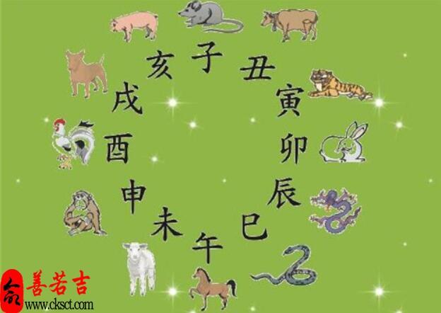 生肖鼠几月命苦(图文)