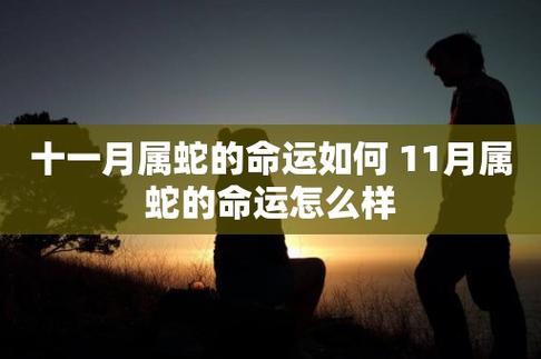 属蛇人11月健康把关应该注意啥