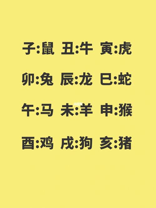媊所代表的属相