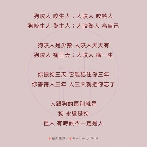 出轨最快的报应
