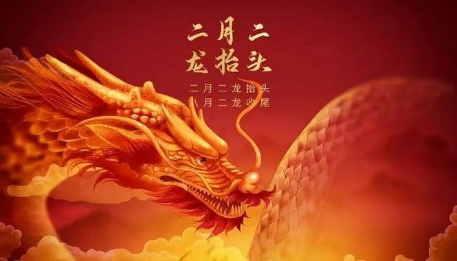 梦见白兔怎么回事