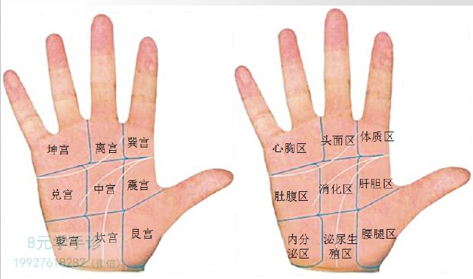 手掌颜色与健康图解