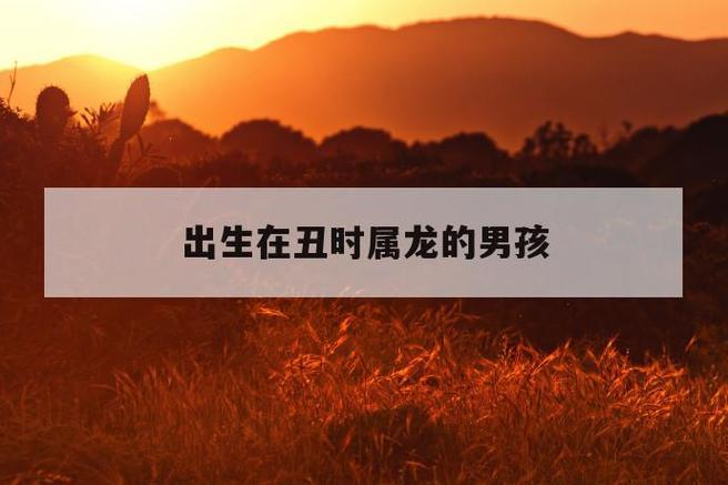 丑时出生男孩