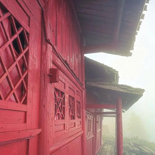 梦见山林是什么意思