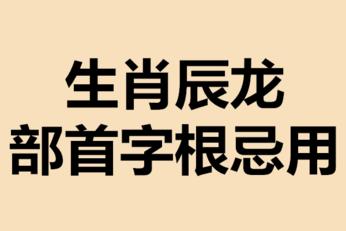 属龙不喜欢的部首有哪些