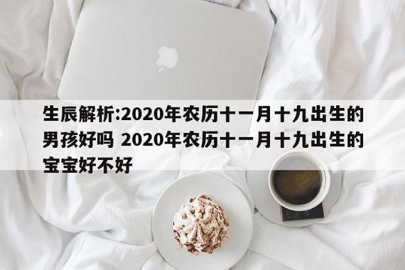 2018年农历十一月二十九出生男孩命好吗,这天是黄道吉日吗?