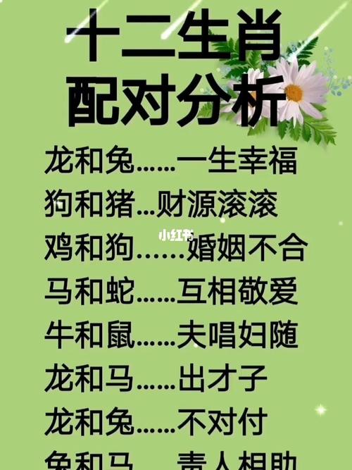 婚姻属相精准配对大全