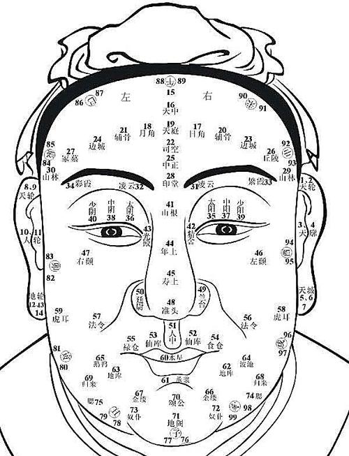 男人面相图最全剖析