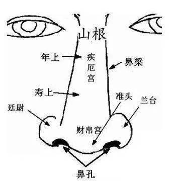 朝天鼻面相怎么样