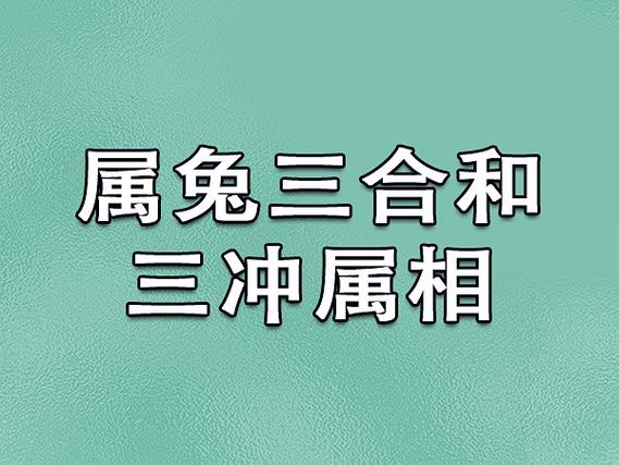 属兔三合和三冲属相是什么