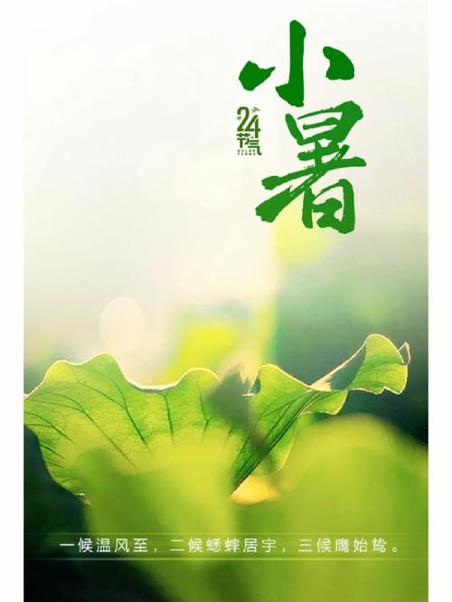 2020庚子鼠年小暑节气戌时出生是不是命很好?