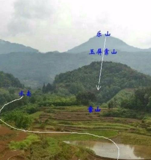 祖坟风水须知,坟墓种树风水的相关讲究