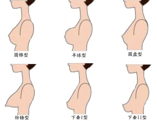 0型女性与AB型女性的相处之道