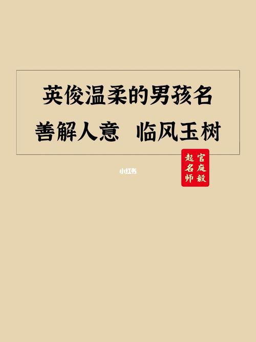 带善的男孩名字两字取名