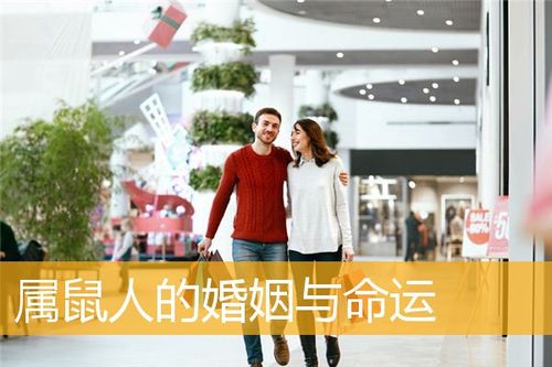 属鼠的人恋爱追求与婚姻
