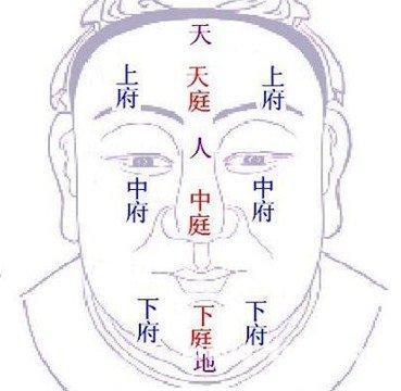 白手起家人面相会有什么特征