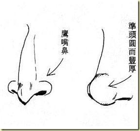鹰嘴鼻的男人好不好