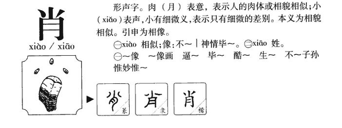 肖字取名两个字
